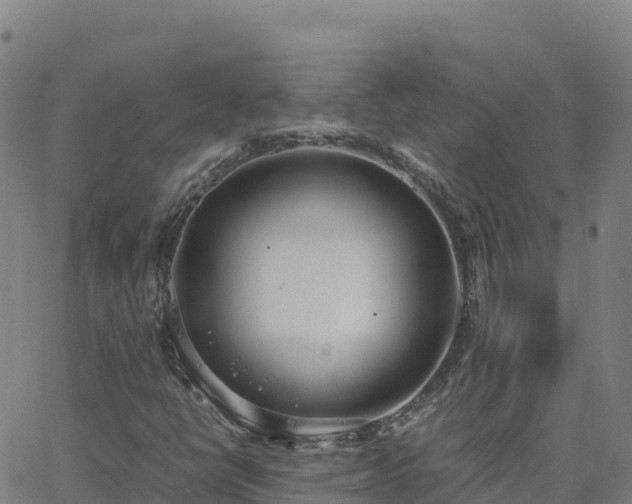 X0000062671398200512230935