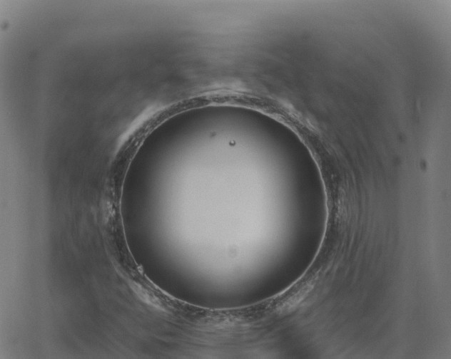 X0000062671400200512230935