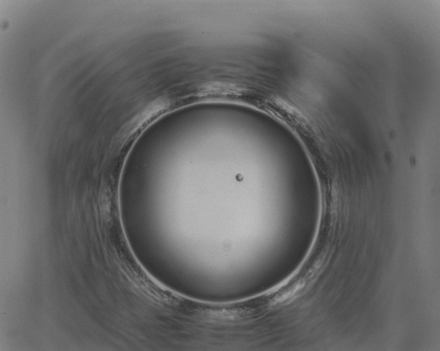 X0000062671401200512230935