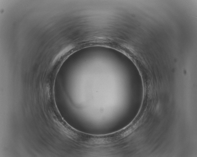 X0000062671402200512230935