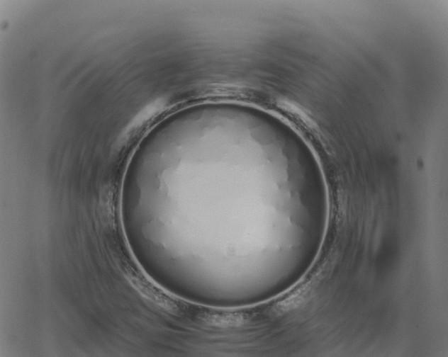 X0000062671403200512230935