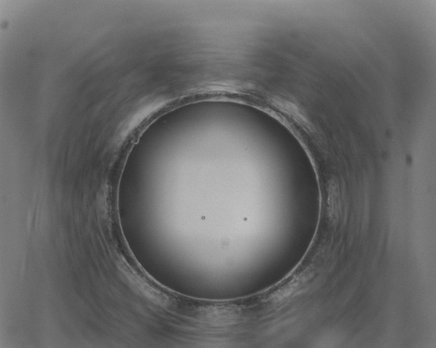 X0000062671404200512230935