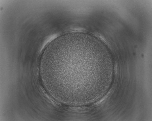 X0000062671405200512230935