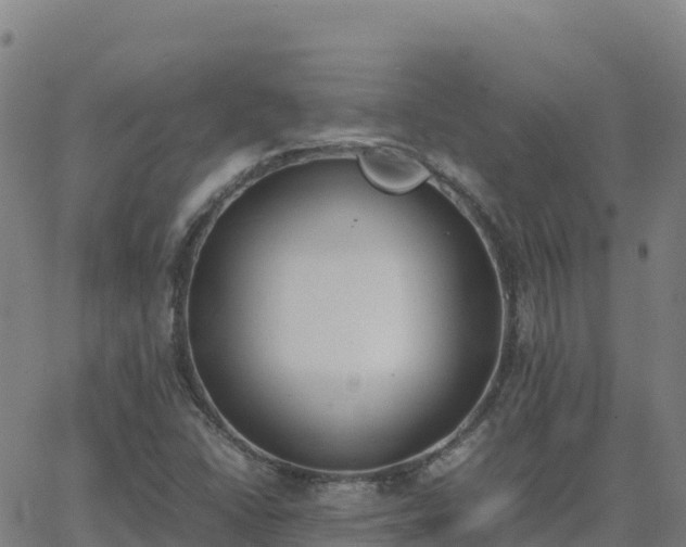 X0000062671406200512230935