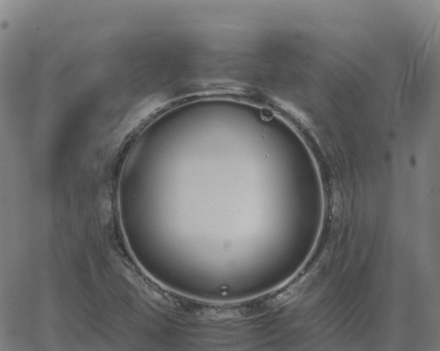 X0000062671407200512230935