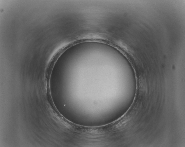 X0000062671408200512230935