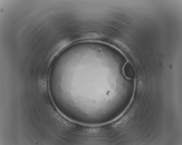 X0000062671409200512230935