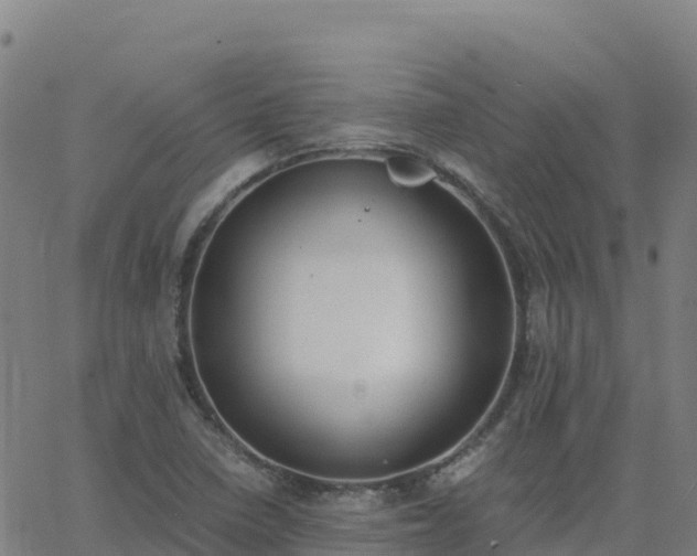 X0000062671410200512230935