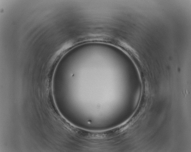 X0000062671411200512230935