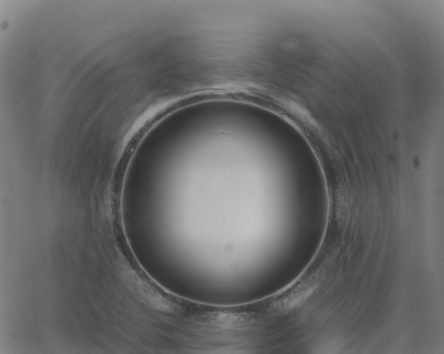 X0000062671412200512230935