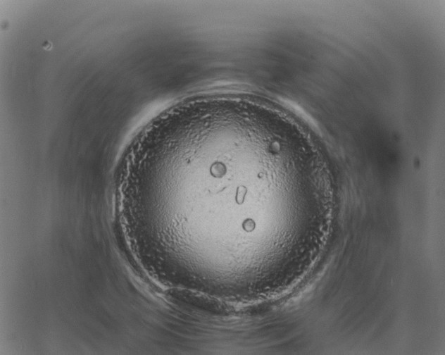 X0000062671413200512230935