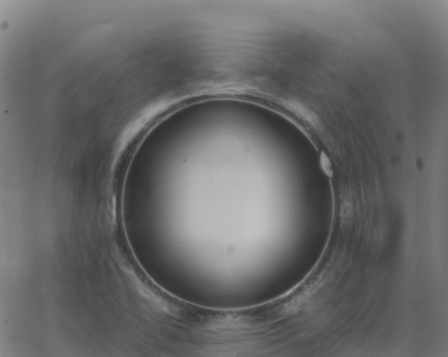 X0000062671414200512230935