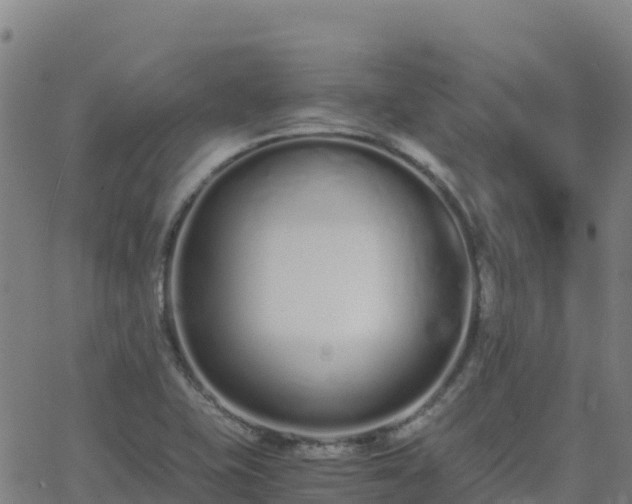 X0000062671415200512230935