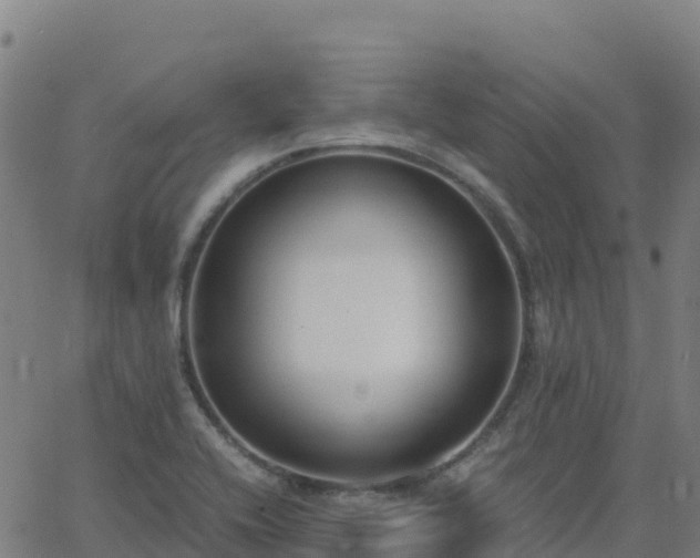 X0000062671416200512230935