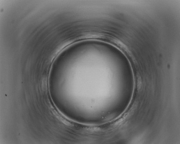 X0000062671417200512230935