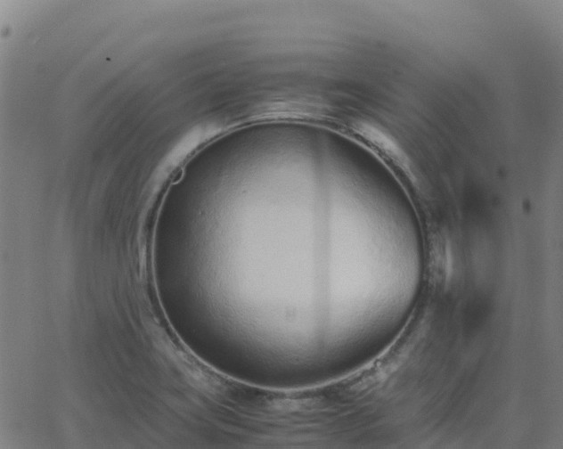 X0000062671419200512230935