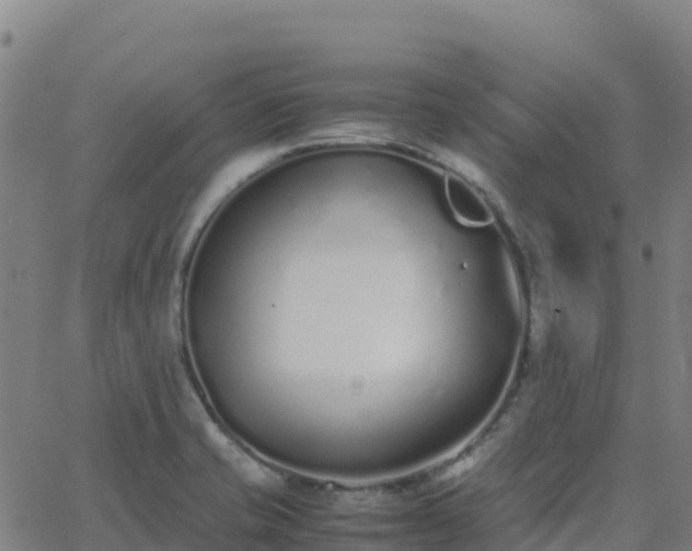 X0000062671421200512230935