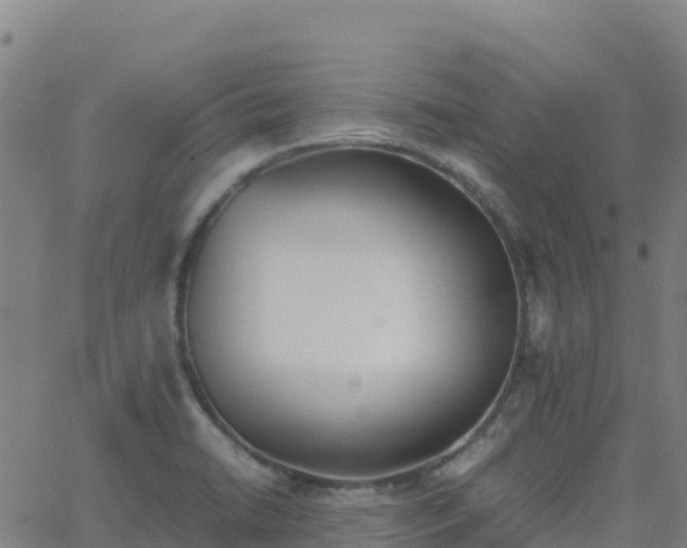 X0000062671422200512230935