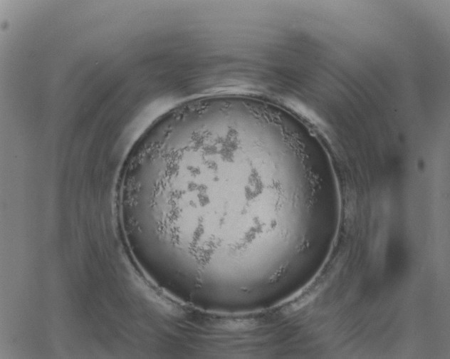 X0000062671423200512230935