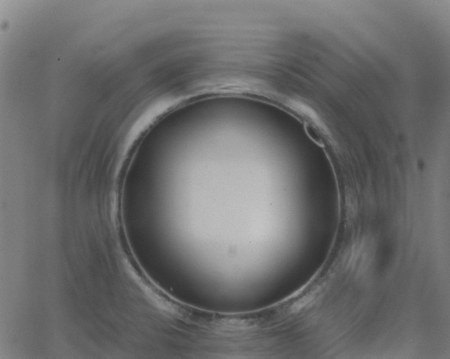 X0000062671424200512230935