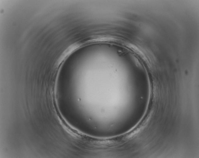 X0000062671425200512230935