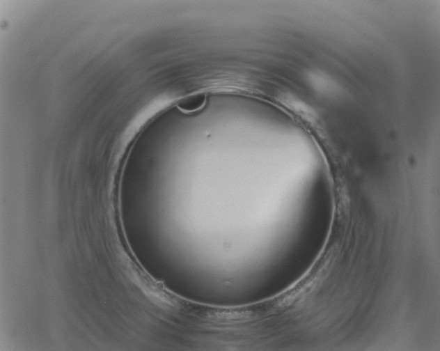 X0000062671427200512230935