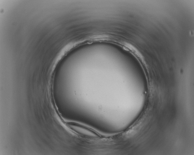 X0000062671429200512230935