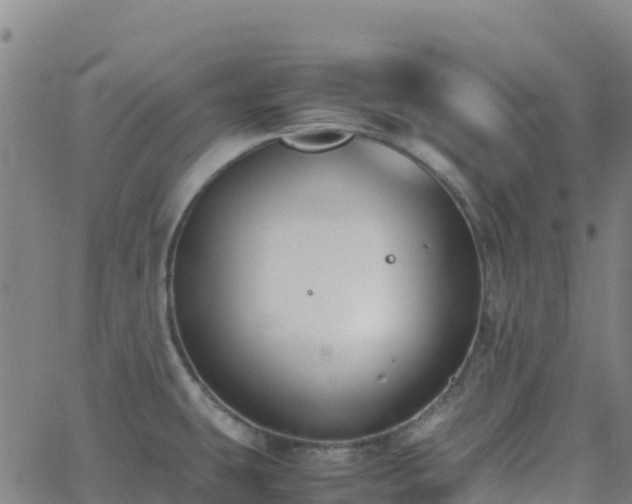 X0000062671431200512230935