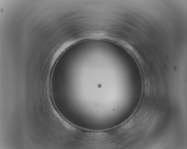 X0000062671432200512230935