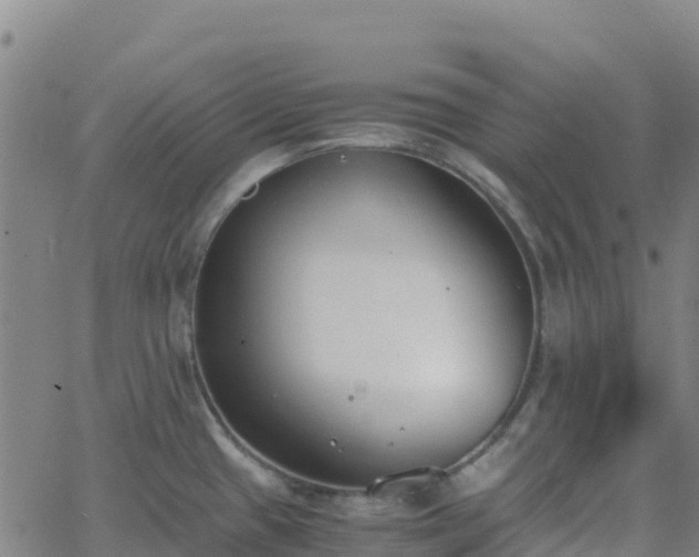 X0000062671433200512230935