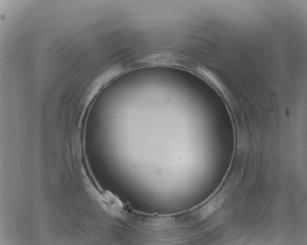 X0000062671434200512230935