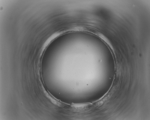 X0000062671437200512230935