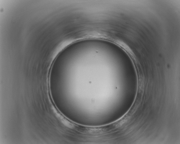 X0000062671439200512230935