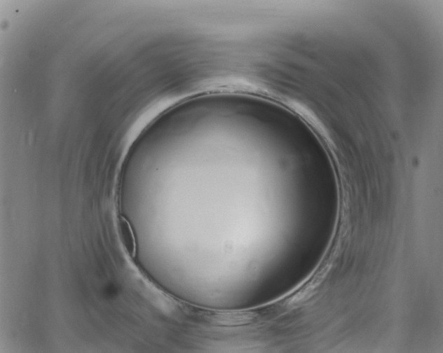 X0000062671440200512230935