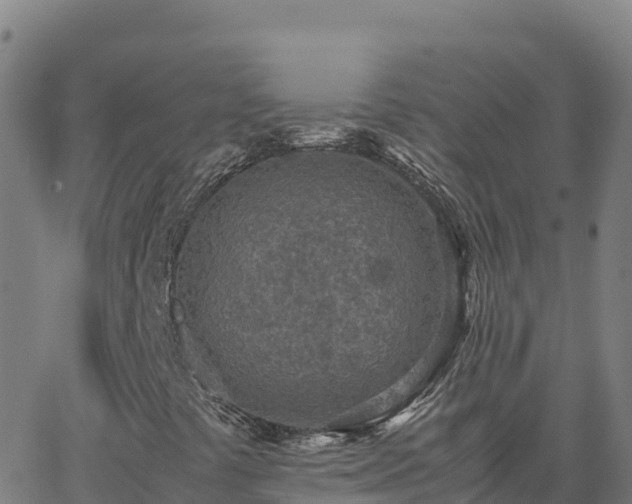 X0000062671441200512230935