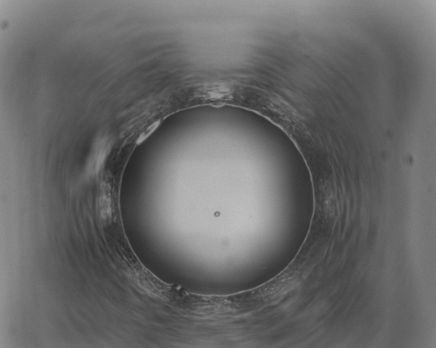 X0000062671442200512230935