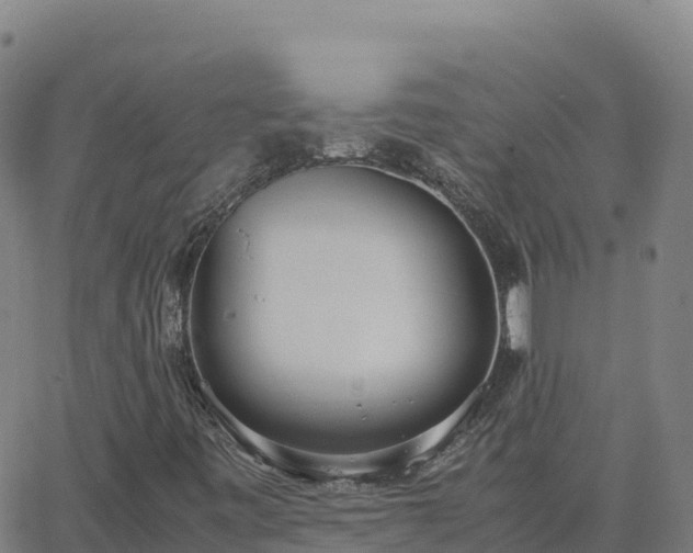 X0000062671443200512230935