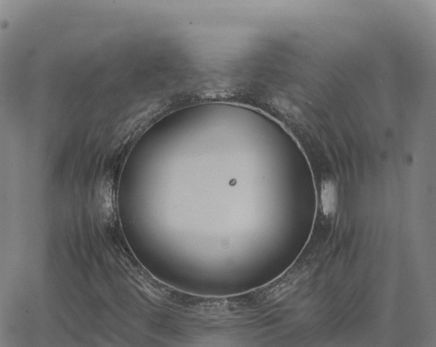 X0000062671444200512230935