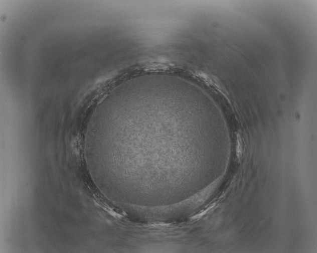 X0000062671445200512230935