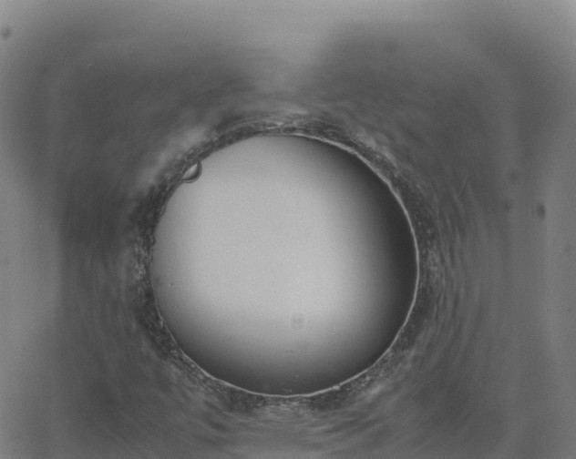 X0000062671447200512230935