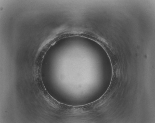 X0000062671448200512230934