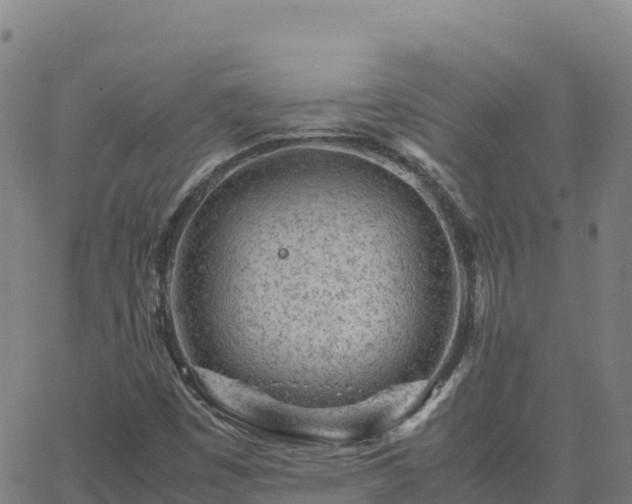 X0000062671449200512230934