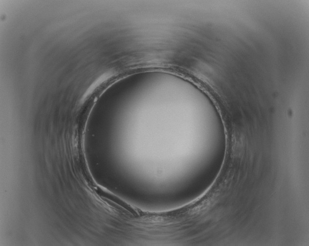 X0000062671450200512230934