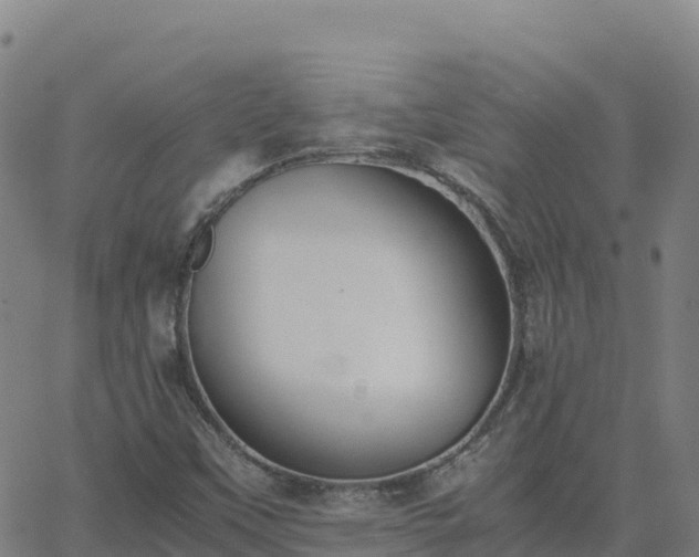 X0000062671451200512230934