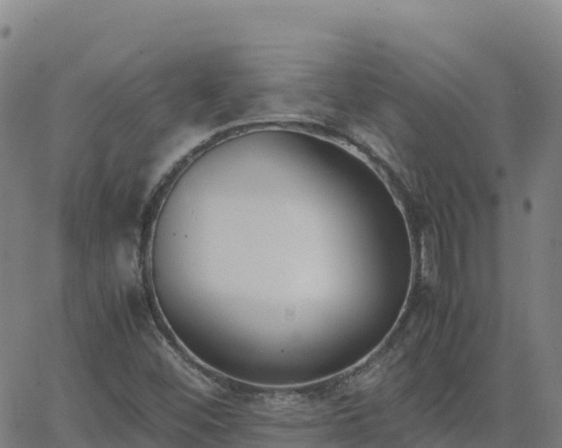 X0000062671452200512230934