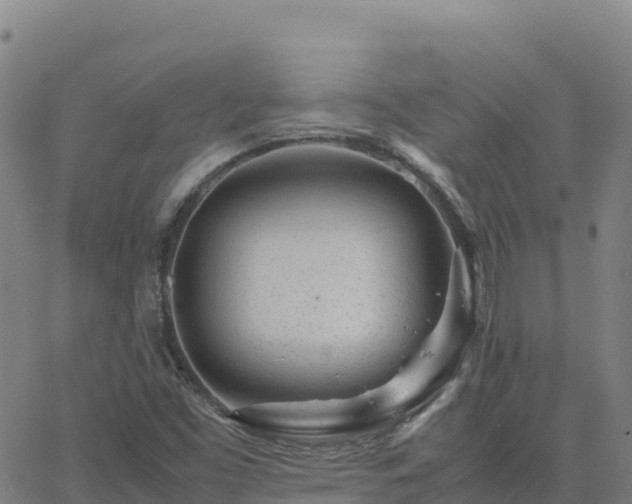 X0000062671453200512230934