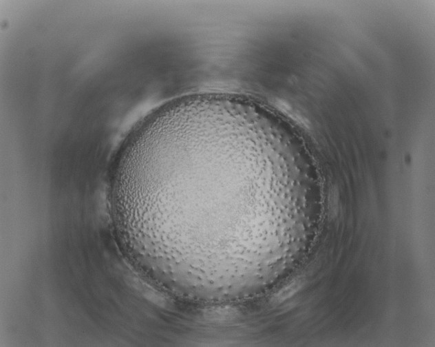 X0000062671454200512230934