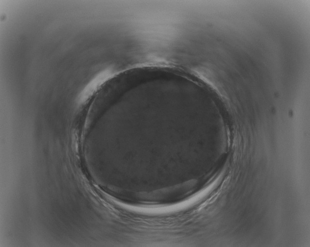 X0000062671455200512230934