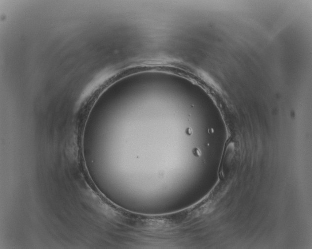 X0000062671456200512230934