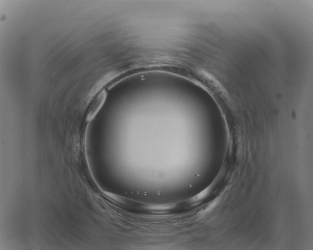 X0000062671457200512230934